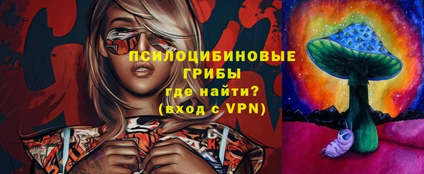 кокс Вяземский