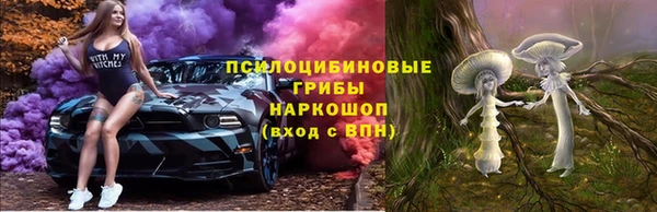 соль ск Горняк