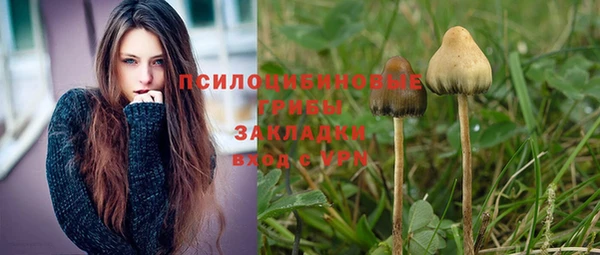 кокс Вяземский
