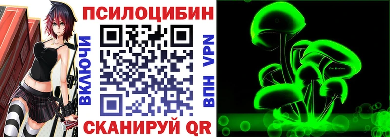 Купить где  Лыткарино  Псилоцибиновые грибы MAGIC MUSHROOMS 